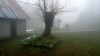P1240046 -11 avril, 2019, 12:09