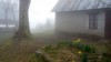 P1240047 -11 avril, 2019, 12:10