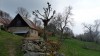 P1240051 -11 avril, 2019, 14:32