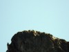 P1260831 -17 septembre, 2020, 14:08