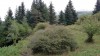 P1260851 -24 septembre, 2020, 09:11