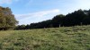 P1260879 - 1 octobre, 2020, 09:27