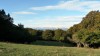 P1260880 - 1 octobre, 2020, 09:28
