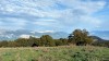 P1260886 - 1 octobre, 2020, 09:45